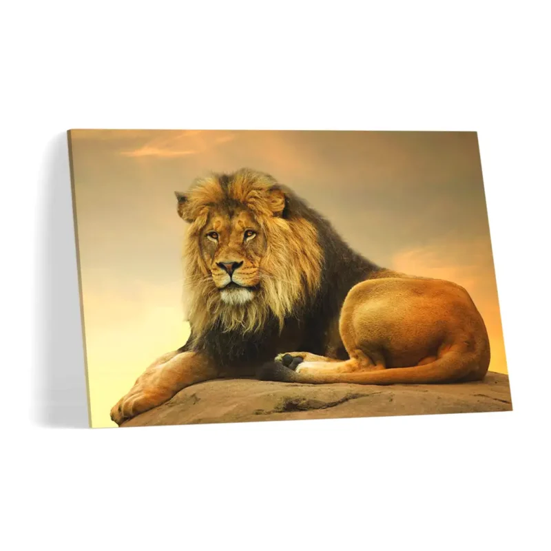 Quadro Decorativo Leão Sunset